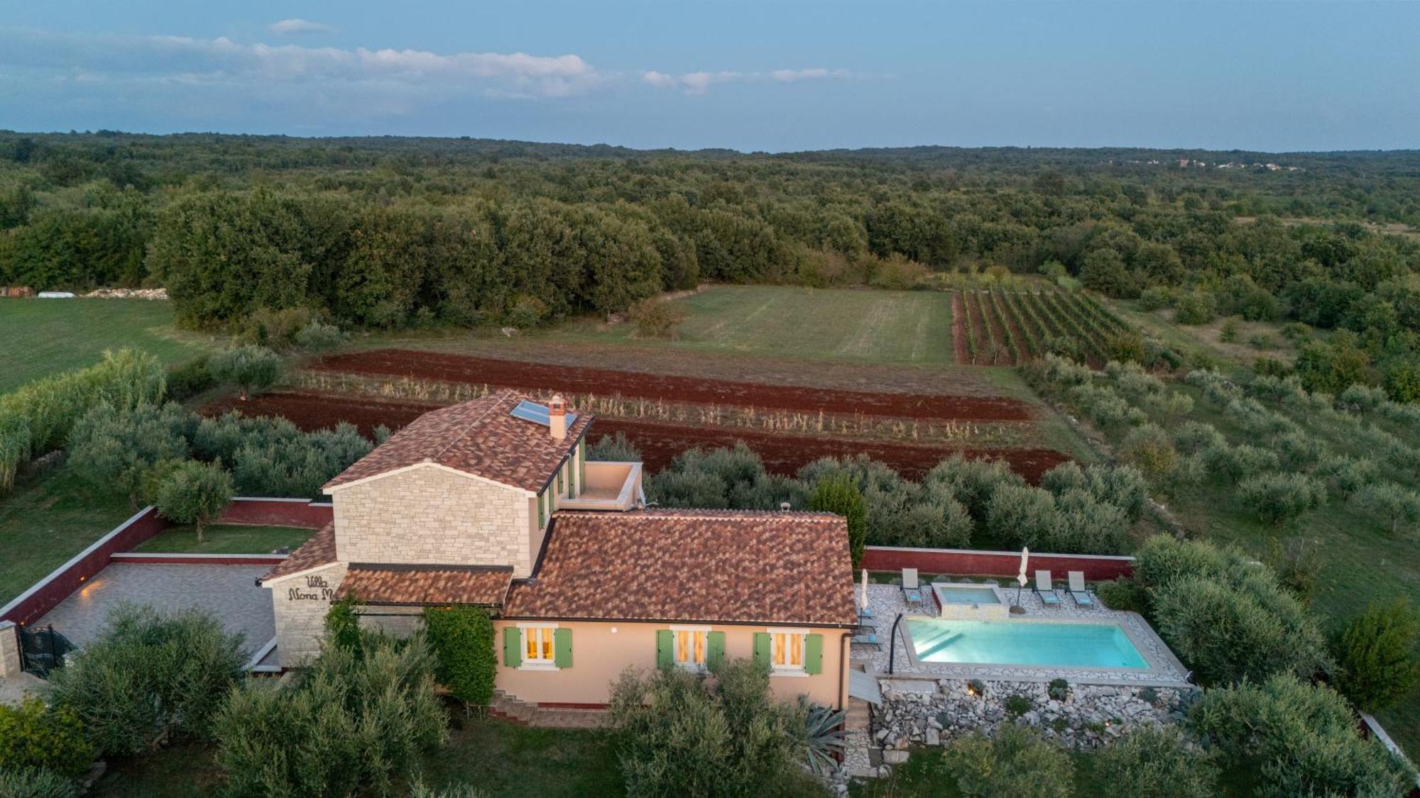 Villa Nona Marija Sveti Lovreč Pazenatički Екстериор снимка
